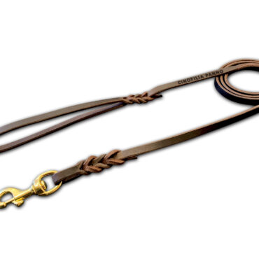 Guinzaglio in cuoio con moschettone in ottone
