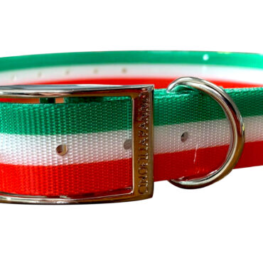 collare alta visibilità