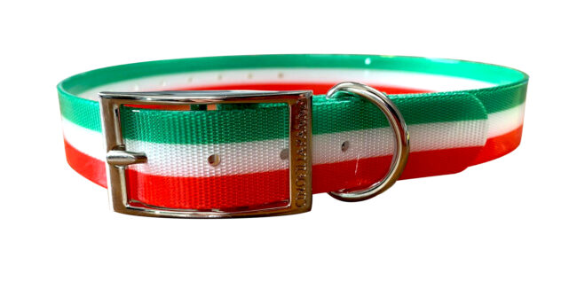collare alta visibilità