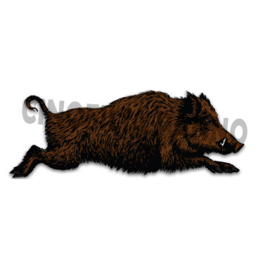 Adesivo Cinghiale che corre