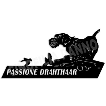 Adesivo Drahthaar con Fondo Trasparente